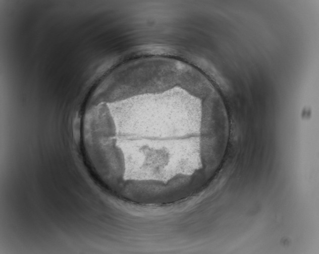 X0000102500014200809051357