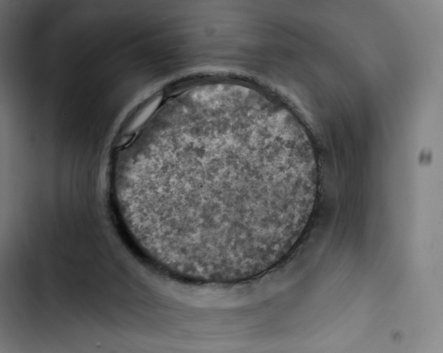 X0000102500016200809051356