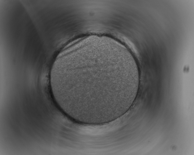 X0000102500017200809051356