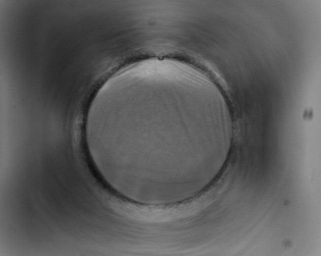 X0000102500018200809051356