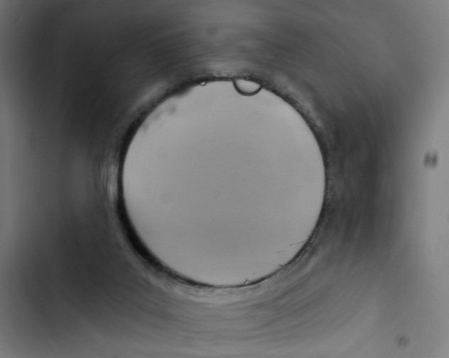 X0000102500019200809051356