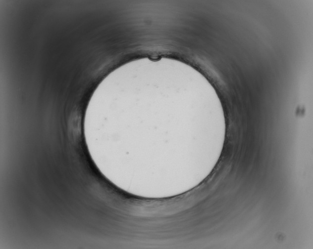 X0000102500021200809051356