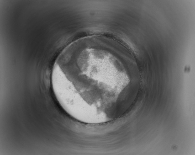 X0000102500022200809051356