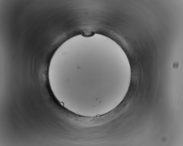 X0000102500023200809051356