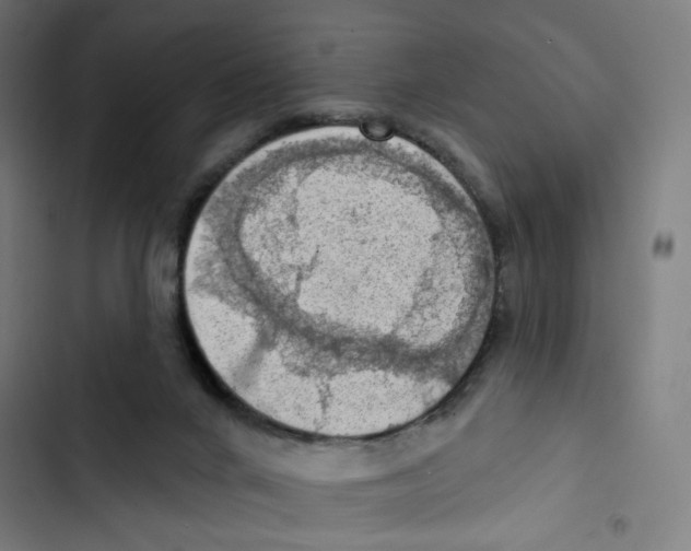 X0000102500024200809051356