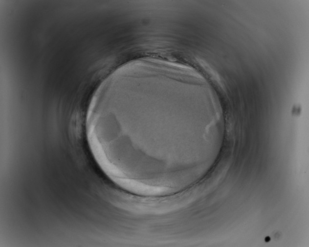 X0000102500026200809051356