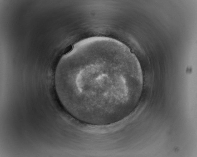 X0000102500029200809051356