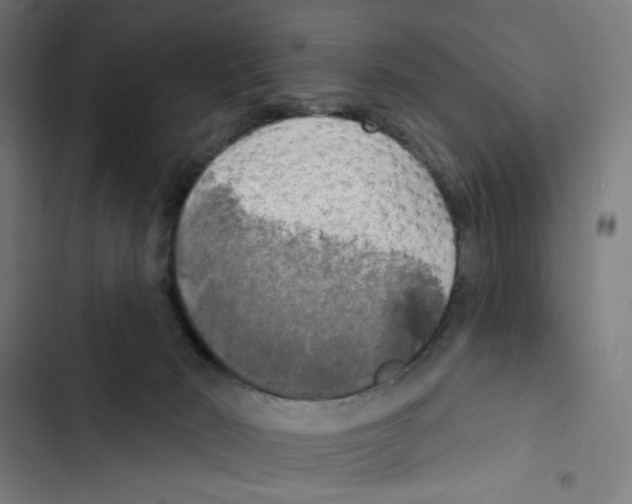 X0000102500030200809051356