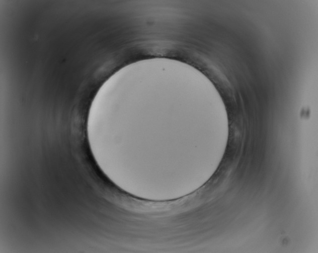 X0000102500031200809051356