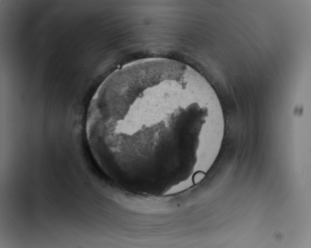 X0000102500032200809051356