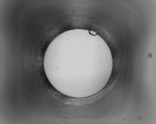 X0000102500033200809051356