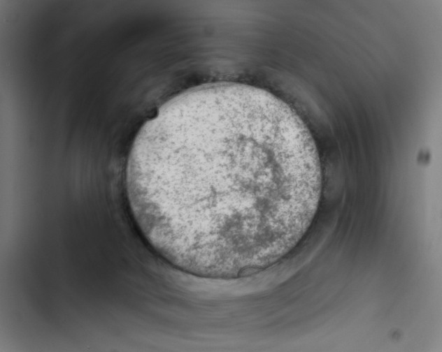 X0000102500034200809051356