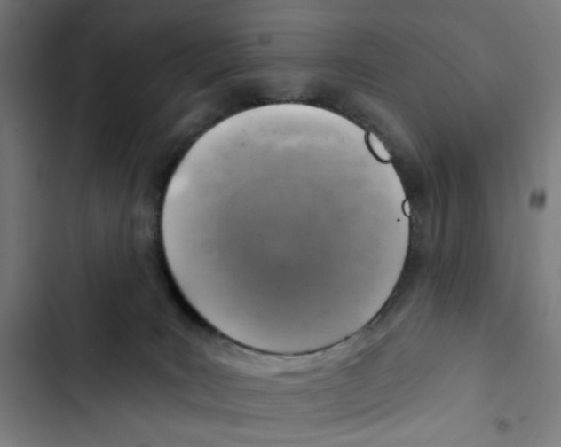 X0000102500035200809051356