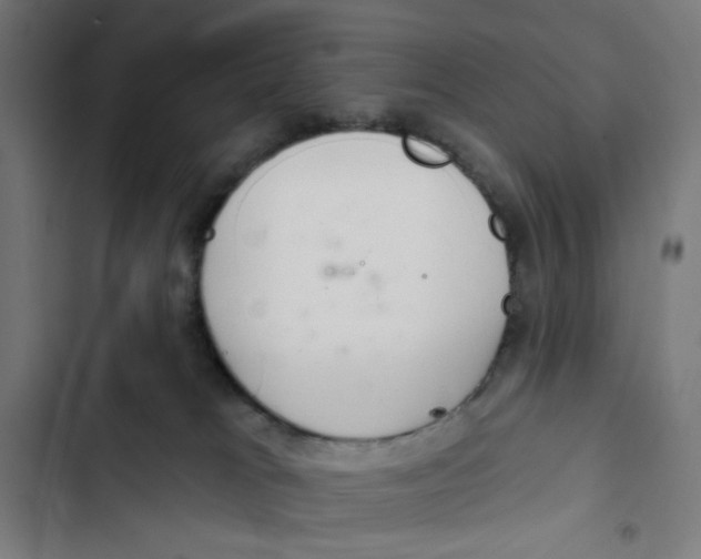 X0000102500037200809051356