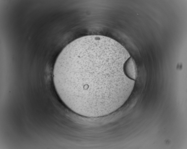 X0000102500038200809051356