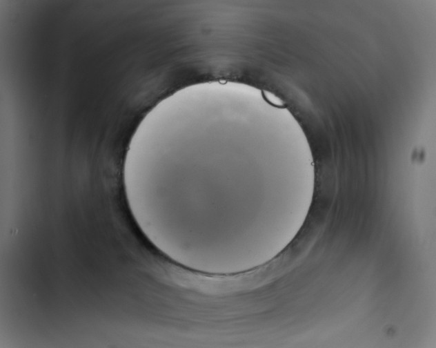 X0000102500039200809051356