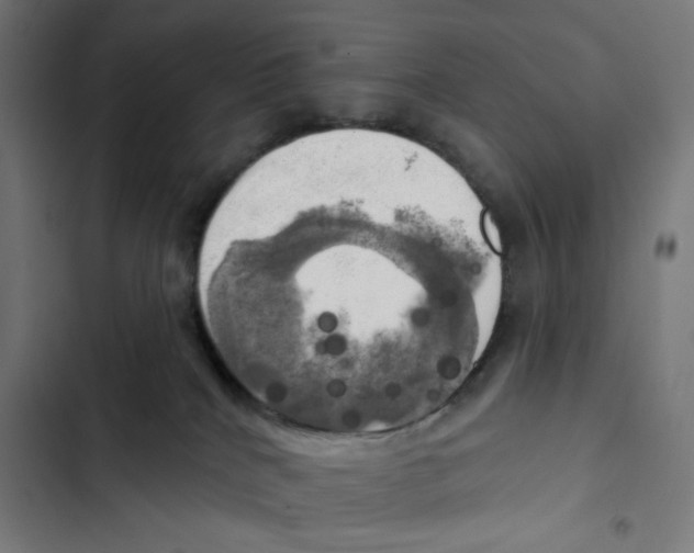 X0000102500040200809051356