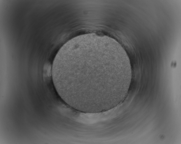 X0000102500041200809051356