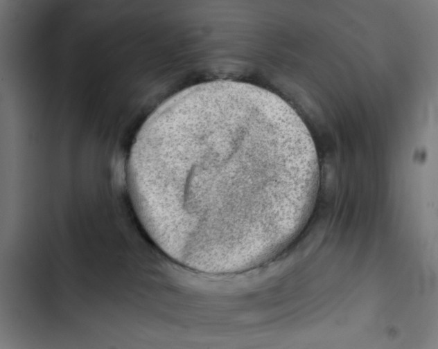 X0000102500042200809051356