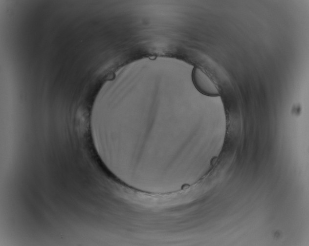 X0000102500043200809051356