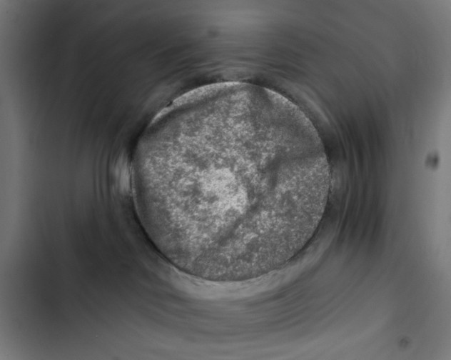 X0000102500046200809051356