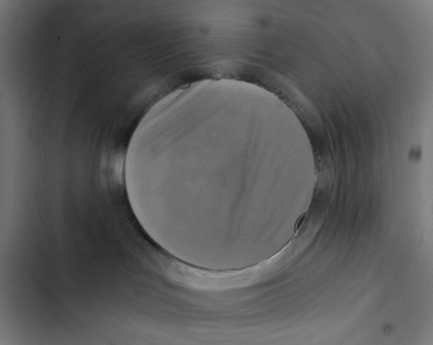 X0000102500047200809051356