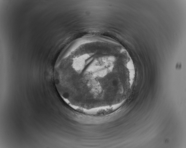 X0000102500048200809051356