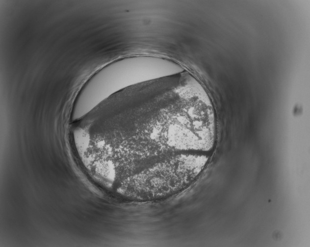 X0000102500049200809051355