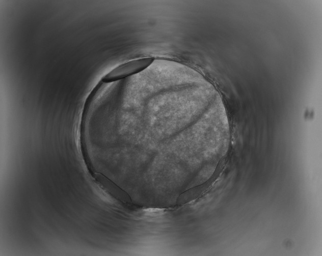 X0000102500052200809051355