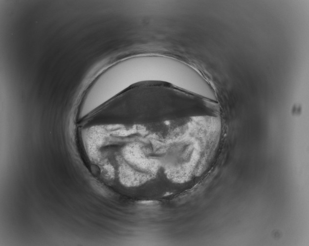 X0000102500053200809051355