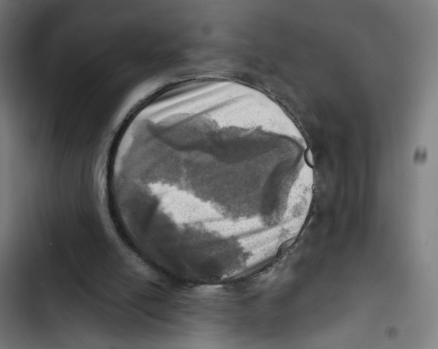 X0000102500054200809051355