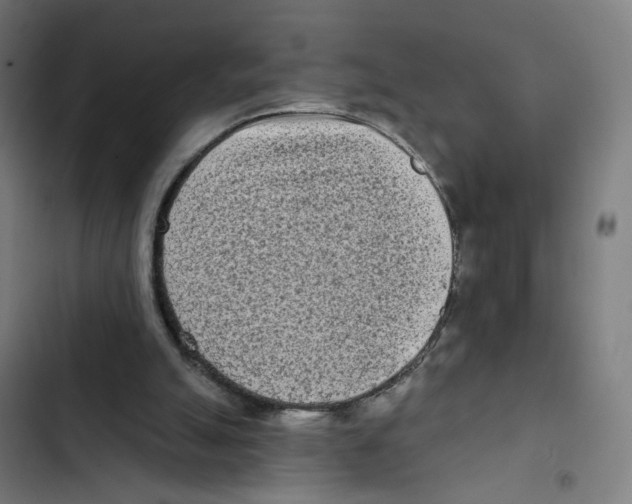 X0000102500055200809051355