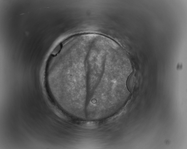 X0000102500056200809051355