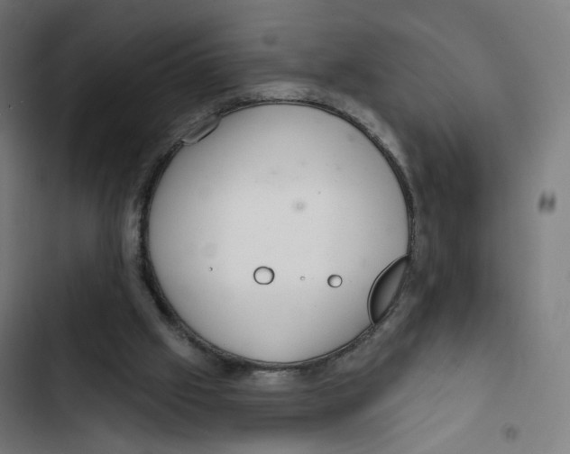 X0000102500057200809051355