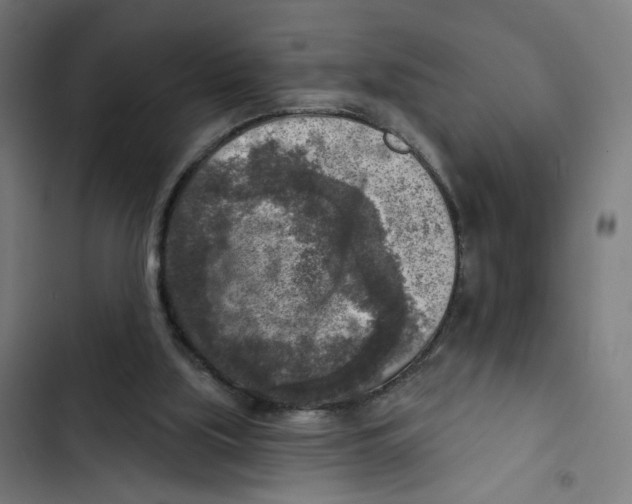 X0000102500059200809051355