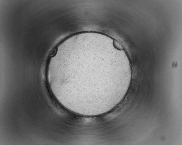 X0000102500060200809051355