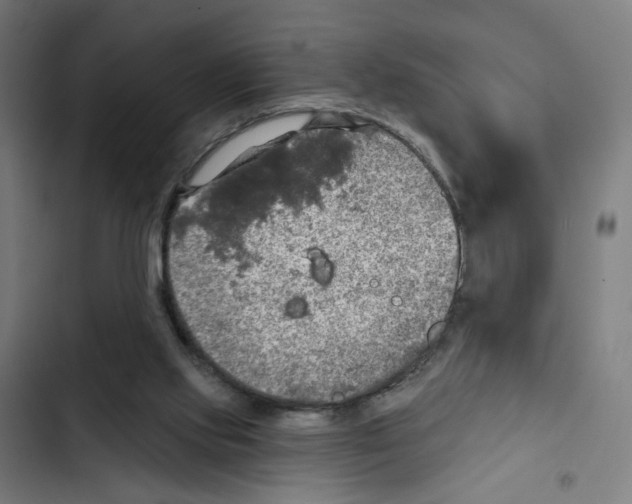 X0000102500061200809051355