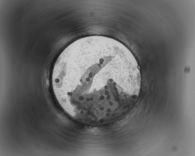 X0000102500062200809051355