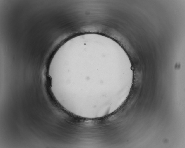 X0000102500064200809051355