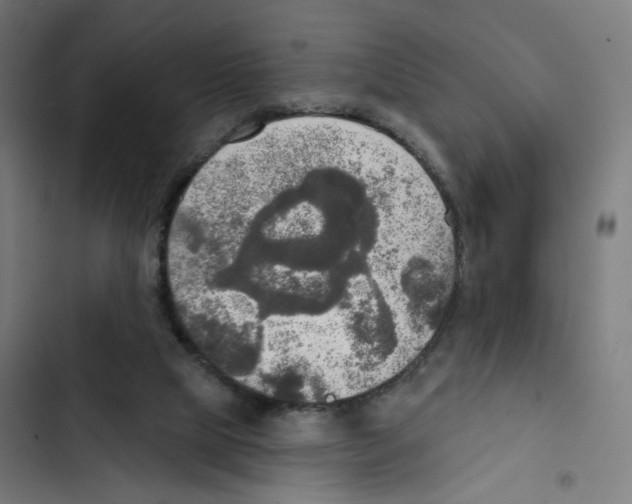 X0000102500065200809051355