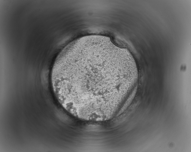 X0000102500066200809051355