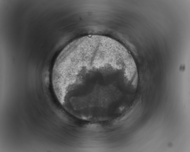 X0000102500067200809051355