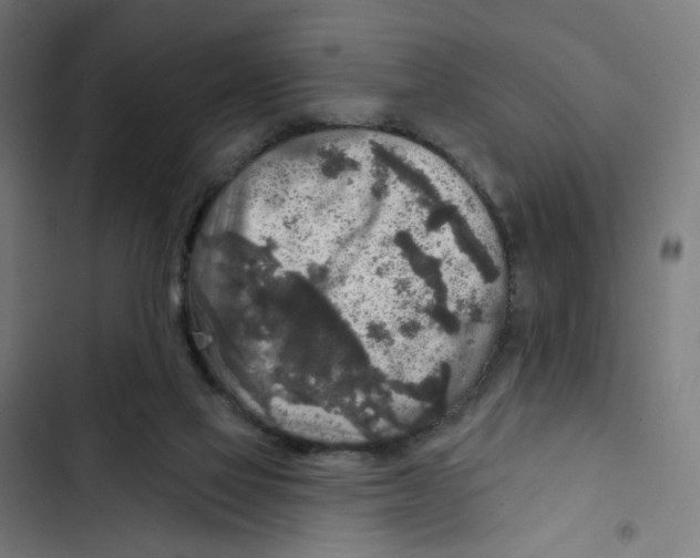 X0000102500069200809051355