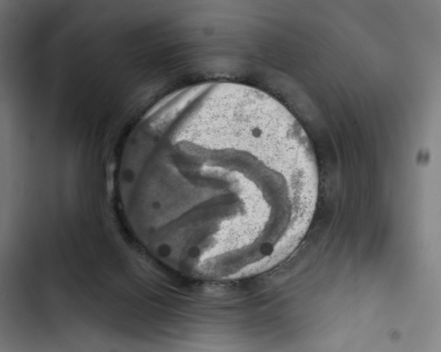 X0000102500070200809051356