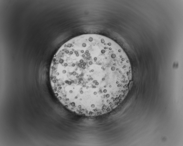 X0000102500071200809051356