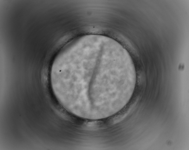 X0000102500072200809051356