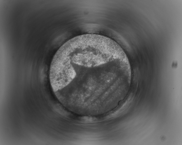 X0000102500073200809051356