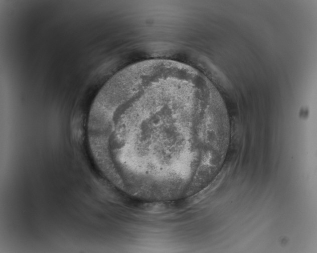 X0000102500074200809051356