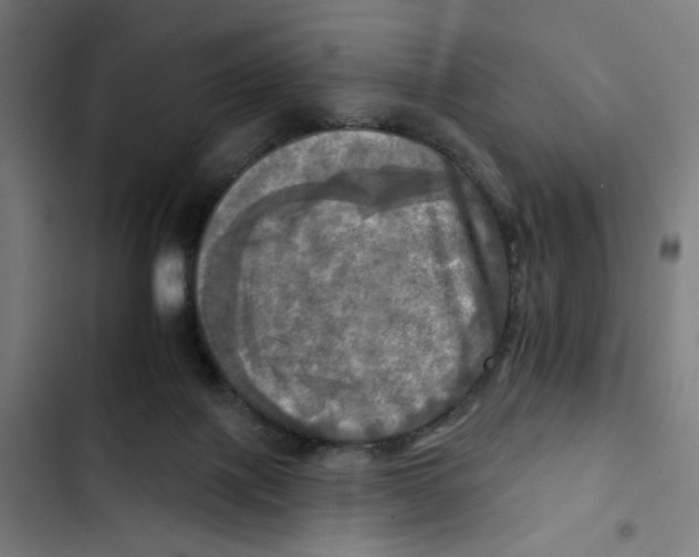 X0000102500075200809051356