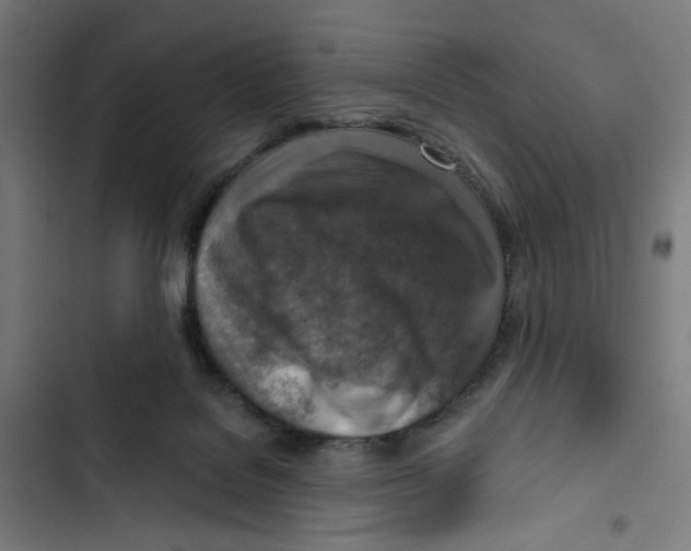 X0000102500076200809051356